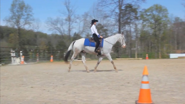 Screenshot_20200405-083038_Video Player