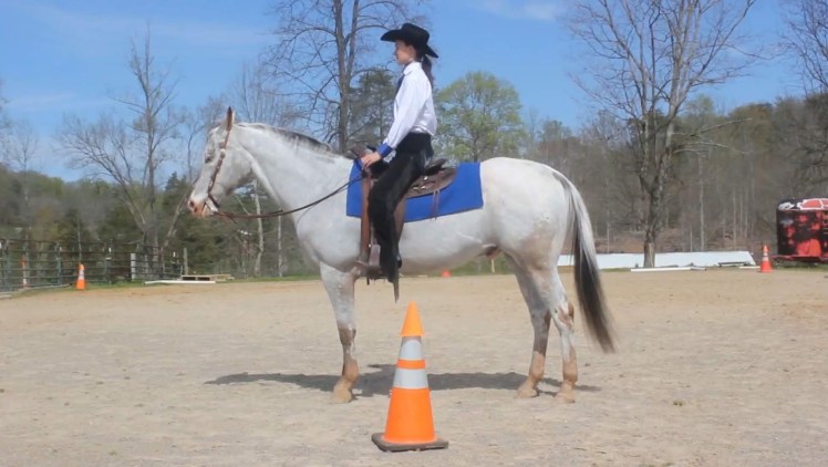 Screenshot_20200405-103316_Video Player